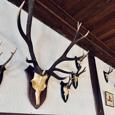 Myslivna Harrachov Hotel Bagian luar foto