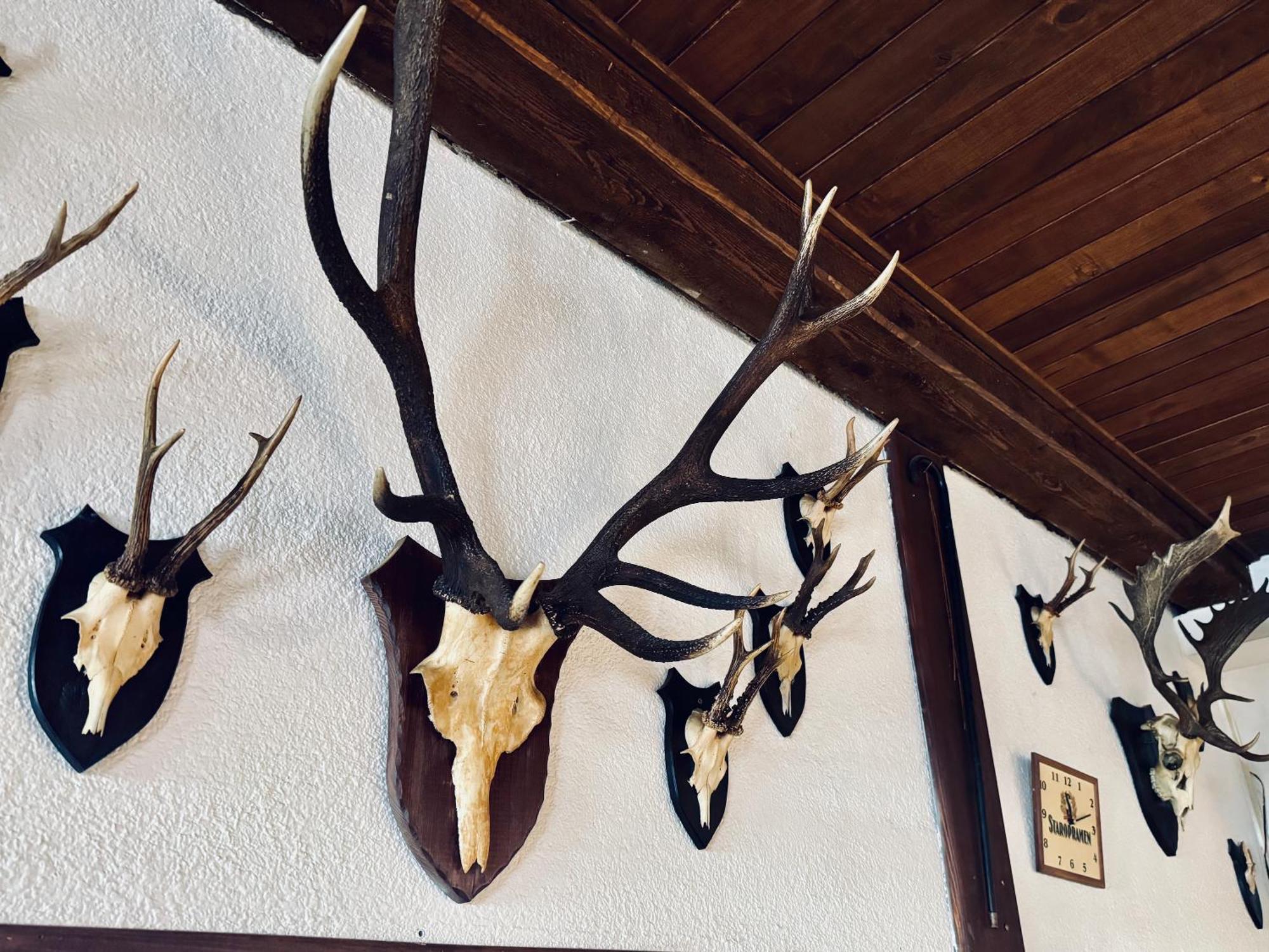 Myslivna Harrachov Hotel Bagian luar foto