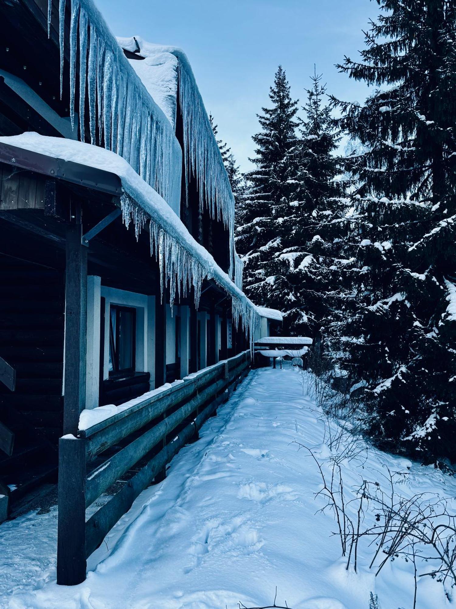 Myslivna Harrachov Hotel Bagian luar foto